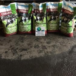 Coburn Grass Seed