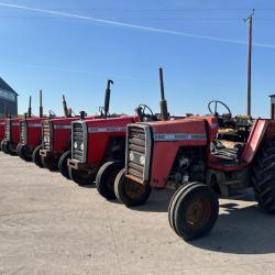 Massey Ferguson x6 290