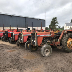 Massey Ferguson 290